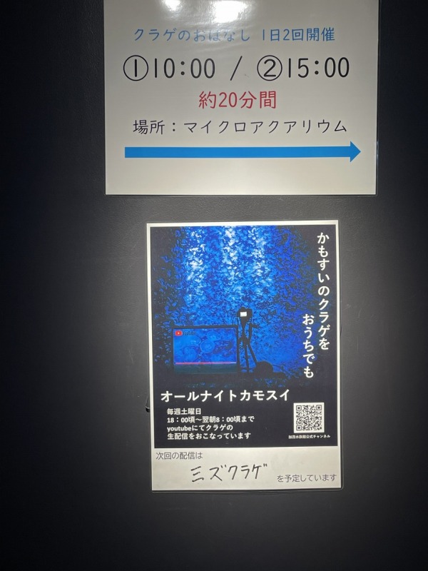 かもすいのYouTube案内
